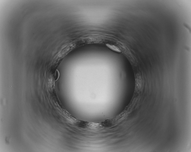 X0000100380333200806201656