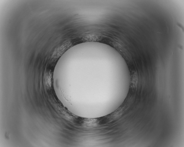 X0000100380334200806201656