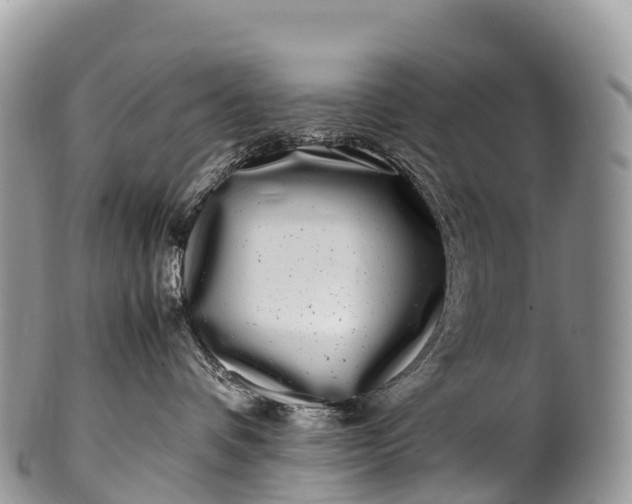 X0000100380336200806201656