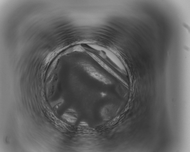 X0000100380337200806201655