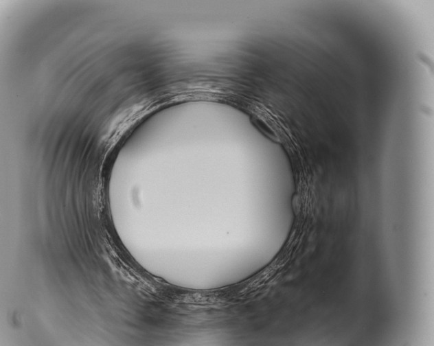 X0000100380338200806201655