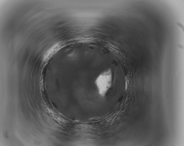 X0000100380339200806201655