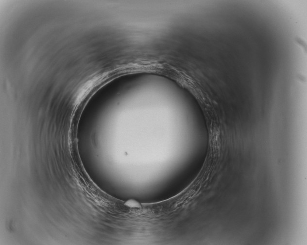 X0000100380340200806201655