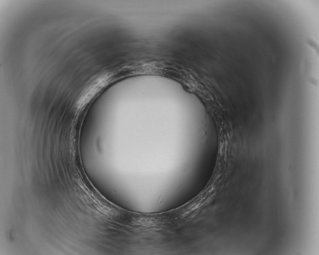 X0000100380341200806201655