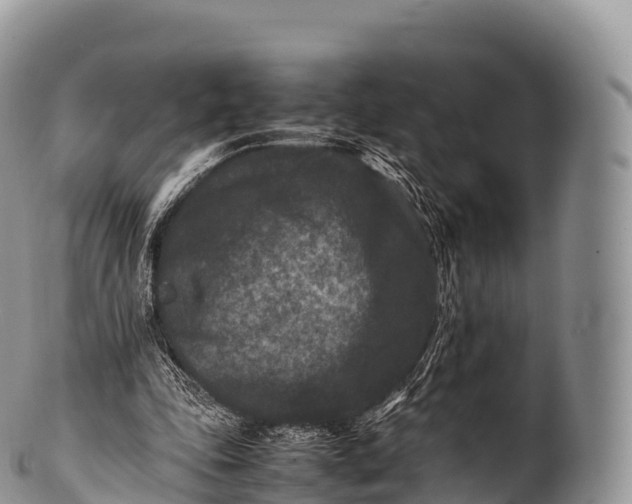 X0000100380343200806201655
