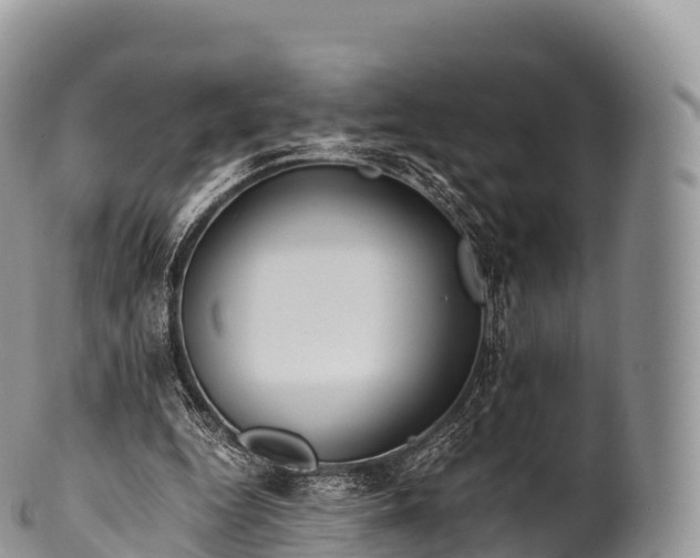 X0000100380344200806201655
