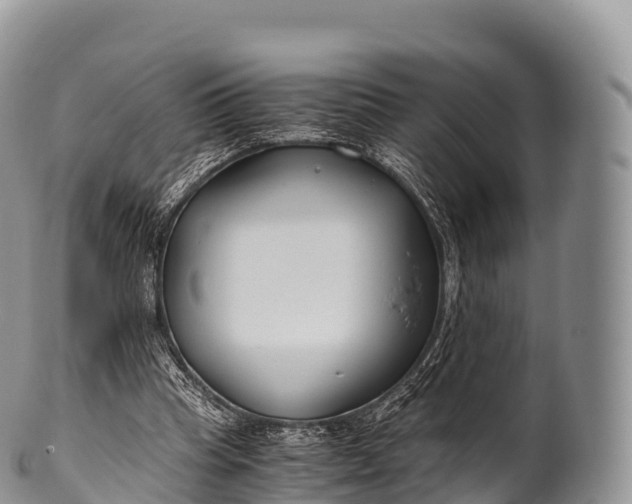 X0000100380345200806201655
