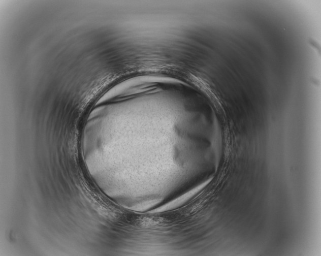 X0000100380346200806201655