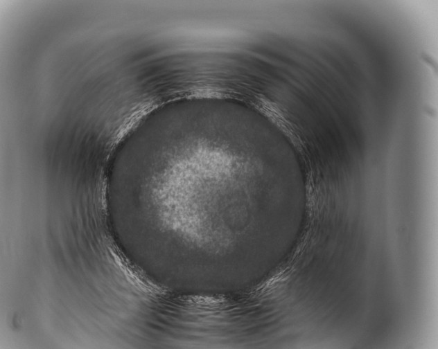 X0000100380347200806201655