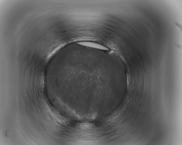 X0000100380348200806201655