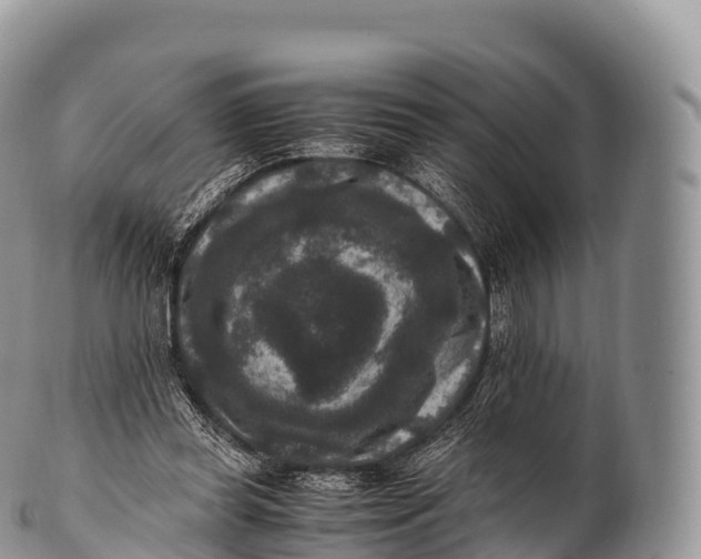 X0000100380349200806201655