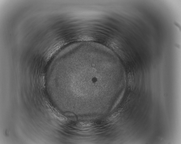 X0000100380351200806201655