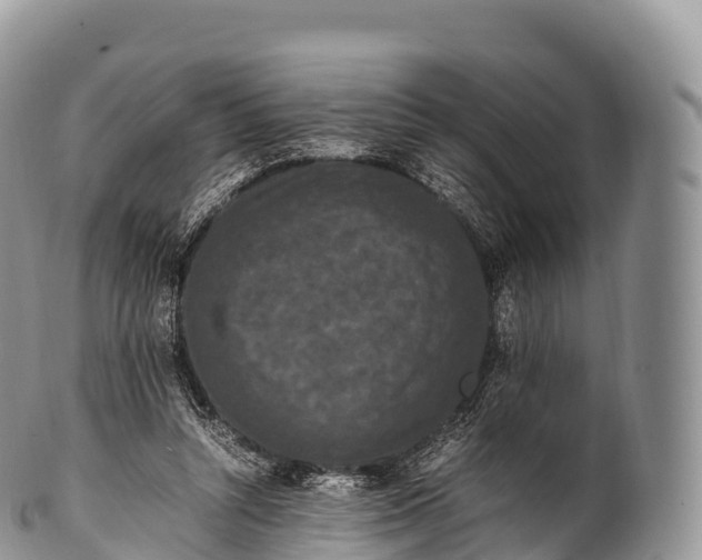 X0000100380352200806201655