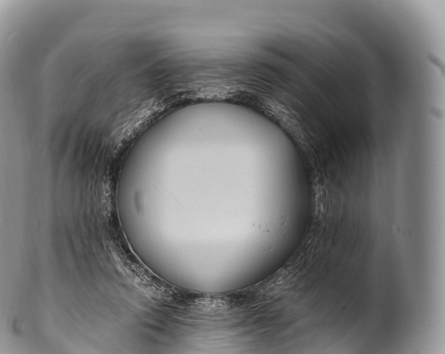 X0000100380354200806201655