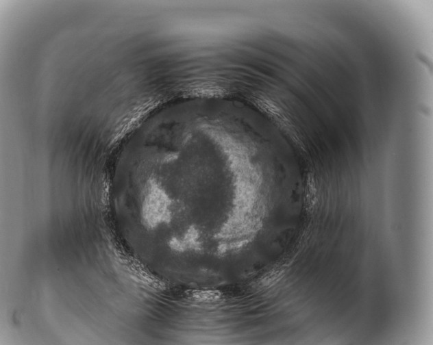 X0000100380355200806201655
