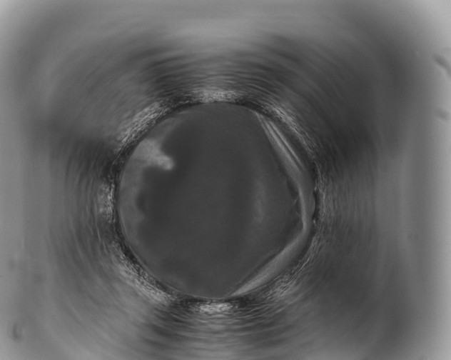 X0000100380357200806201655