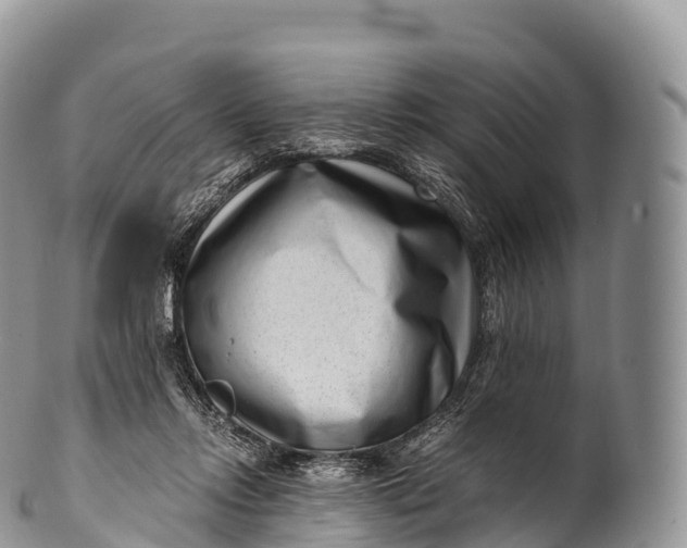 X0000100380358200806201655