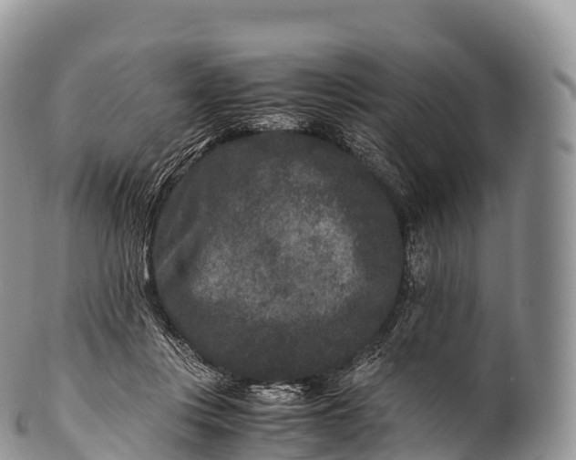 X0000100380359200806201655