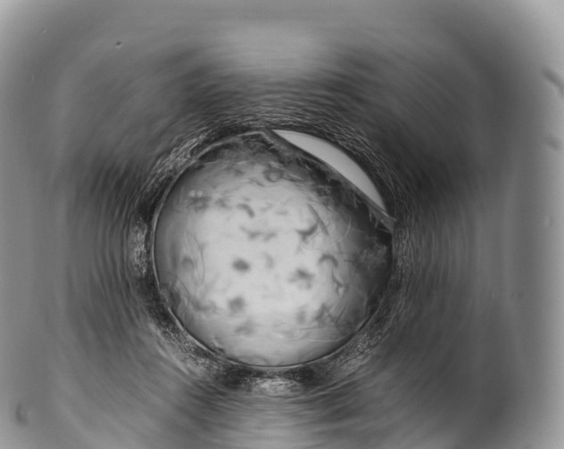 X0000100380360200806201655