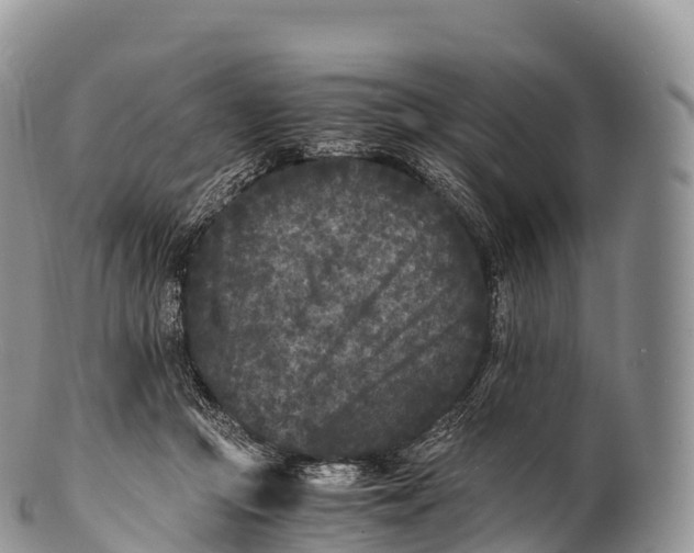 X0000100380361200806201655