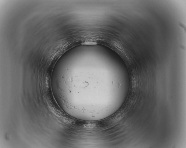 X0000100380362200806201655