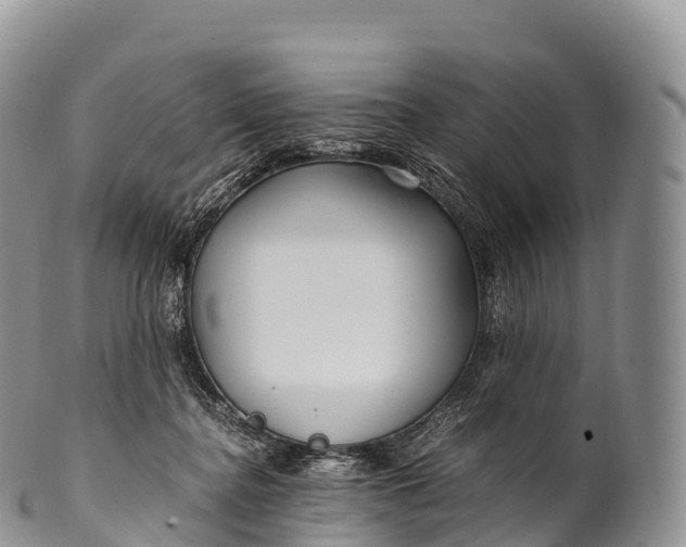 X0000100380364200806201655