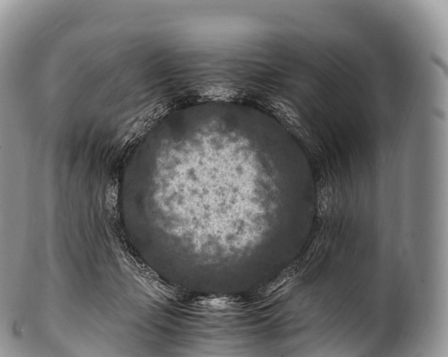 X0000100380365200806201655