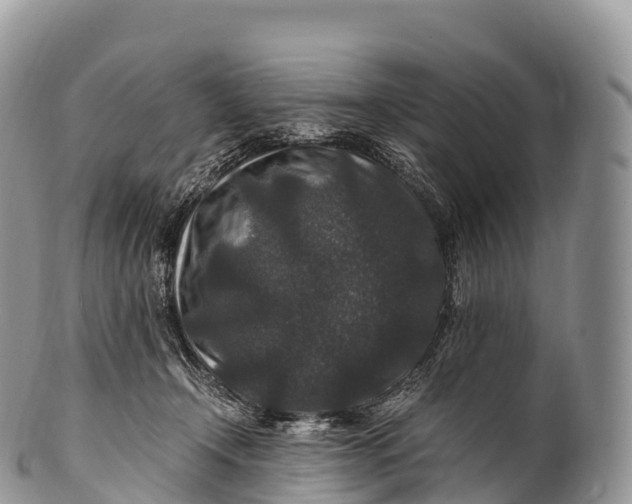 X0000100380366200806201655