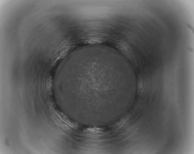 X0000100380367200806201655