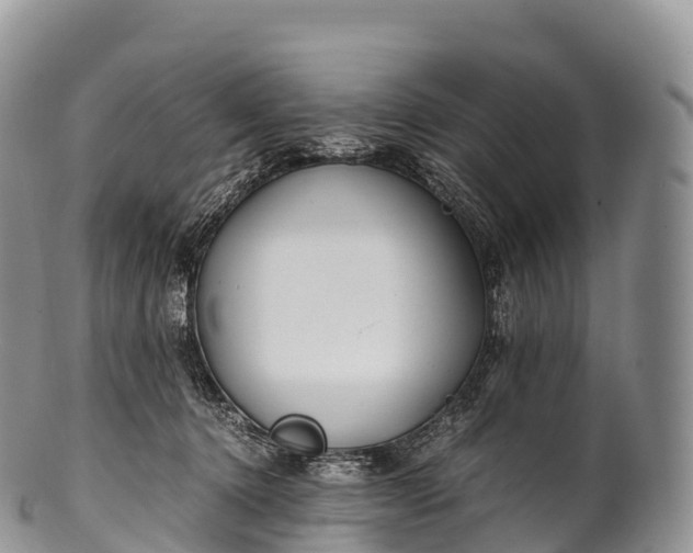 X0000100380368200806201656