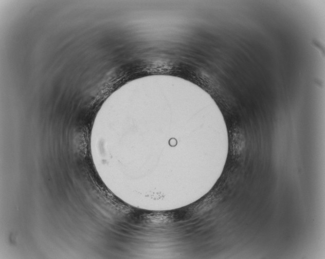 X0000100380370200806201656