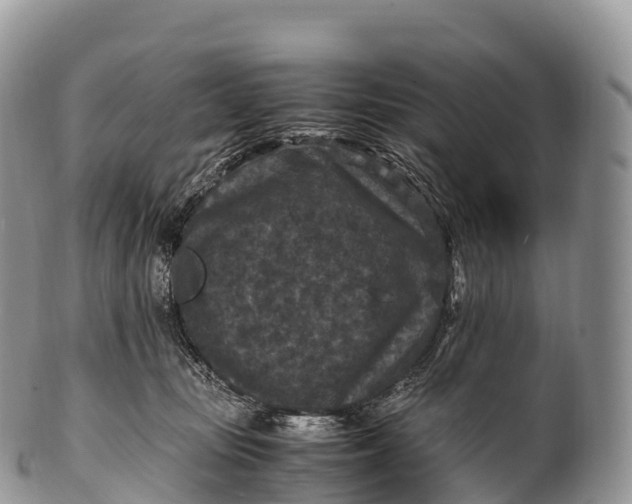 X0000100380371200806201656