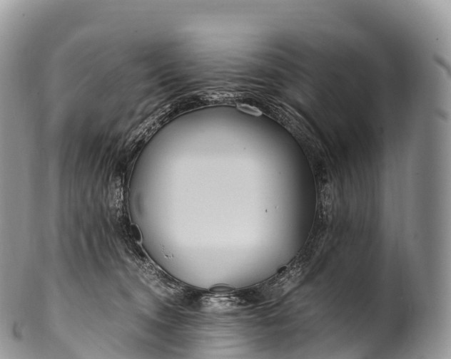 X0000100380372200806201656