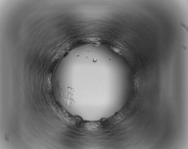 X0000100380373200806201656