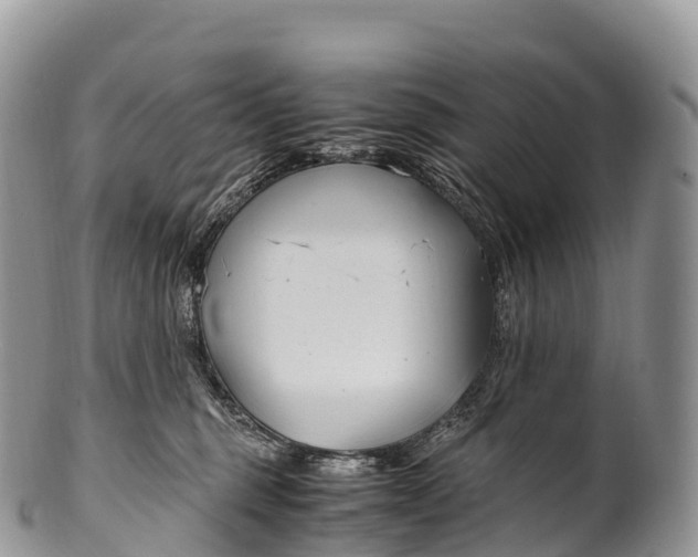 X0000100380375200806201656