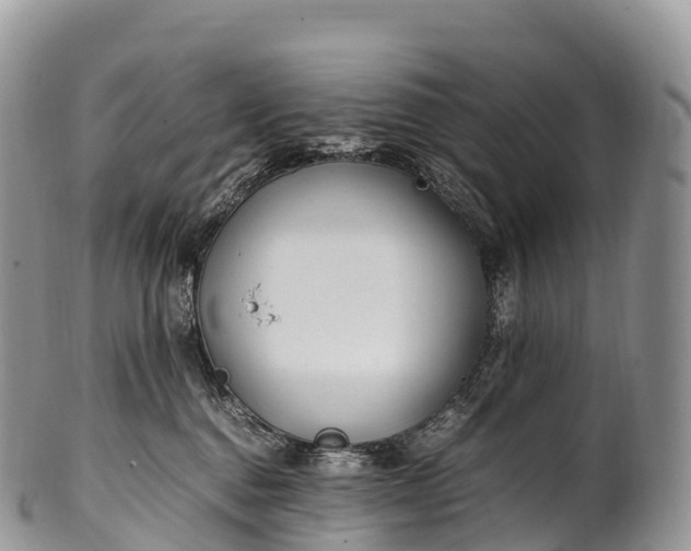 X0000100380376200806201656
