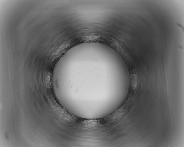 X0000100380378200806201656