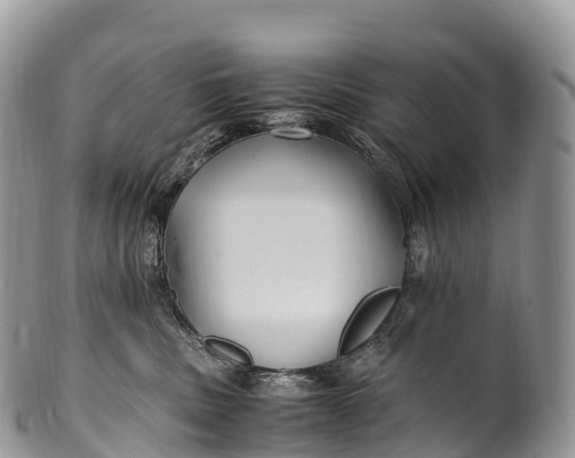 X0000100380379200806201656