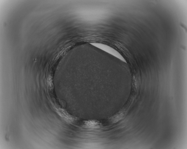 X0000100380380200806201656