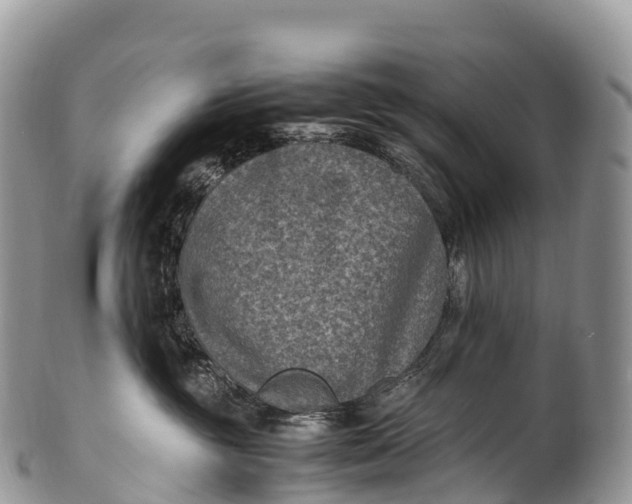 X0000100380381200806201656