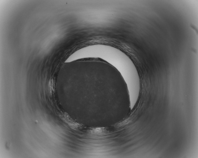 X0000100380382200806201656
