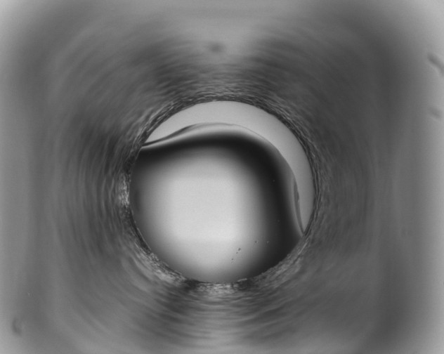 X0000100380384200806201656