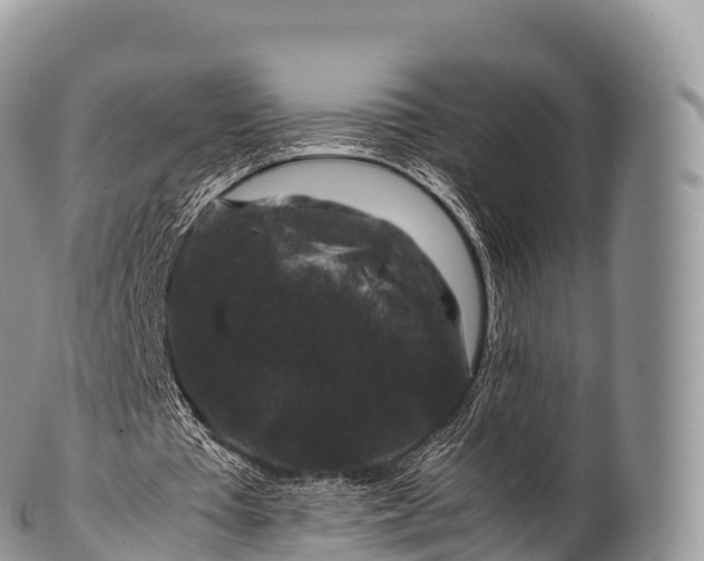 X0000100380385200806201655