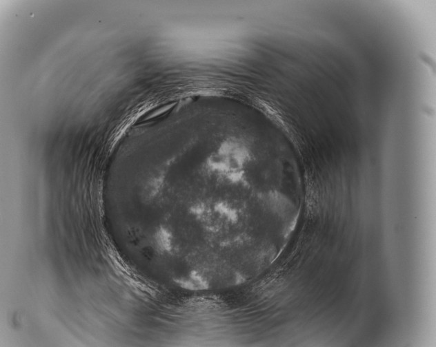 X0000100380386200806201655