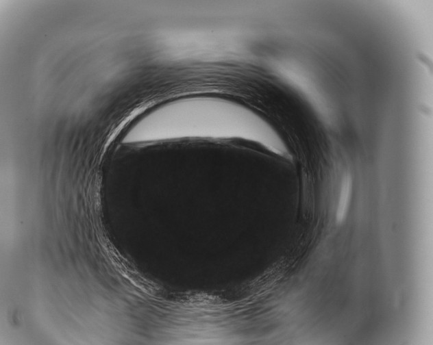 X0000100380387200806201655