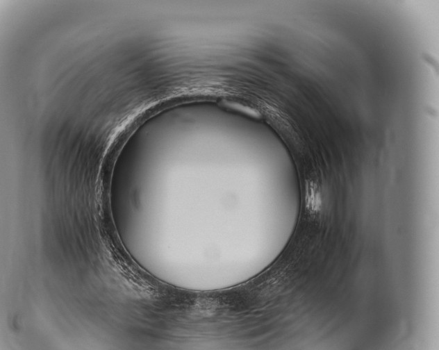 X0000100380388200806201655