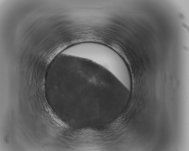 X0000100380389200806201655