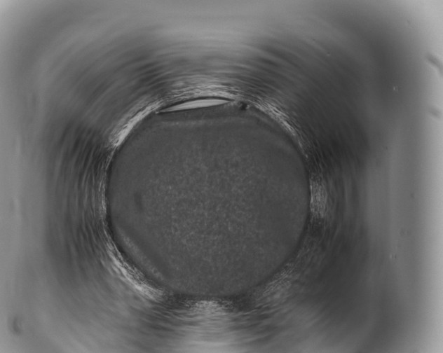 X0000100380390200806201655