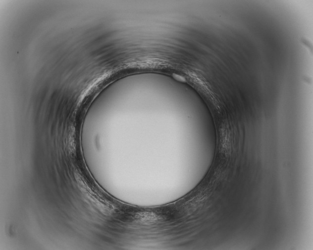 X0000100380392200806201655