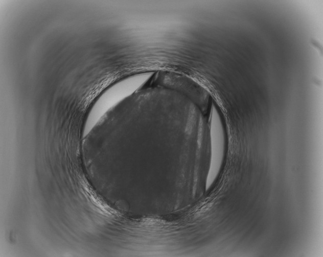 X0000100380393200806201655